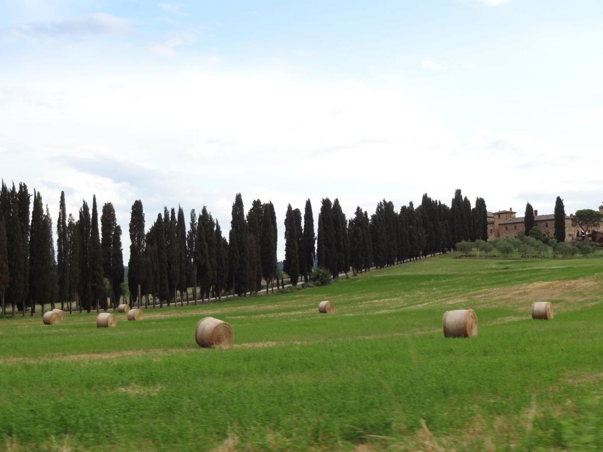 Agriturismo La Collina Villa Siena Exterior foto