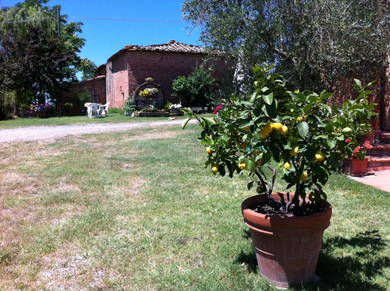 Agriturismo La Collina Siena Exterior foto